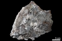 藏品(霰石)的圖片