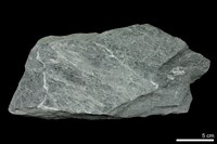 藏品(綠色片岩)的圖片