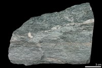 藏品(綠色片岩)的圖片