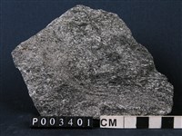 藏品(角閃岩)的圖片