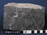 藏品(角閃岩)的圖片