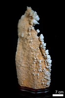 藏品(方解石/石灰華)的圖片