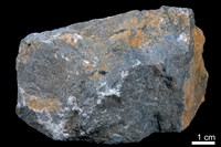 藏品(泥灰岩)的圖片