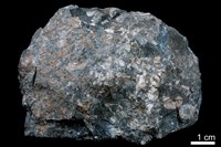 藏品(泥灰岩)的圖片