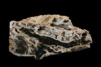 藏品(瑪瑙)的圖片