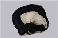 藏品(瑪瑙)的圖片