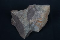 藏品(藍閃石 )的圖片