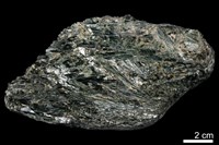 藏品(陽起石)的圖片