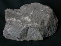 藏品(角閃安山岩)的圖片