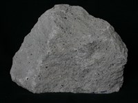 藏品(角閃黑雲母安山岩)的圖片