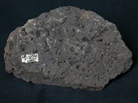 藏品(角閃安山岩)的圖片