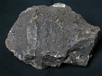 藏品(角閃安山岩)的圖片