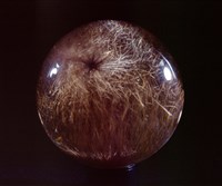 藏品(石英/金紅石)的圖片