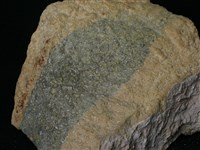 藏品(換質安山岩)的圖片