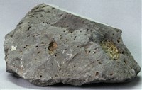 藏品(鹼性玄武岩)的圖片