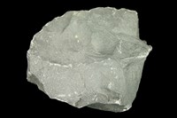 藏品(鹼性玄武岩)的圖片