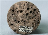 藏品(凝灰岩)的圖片