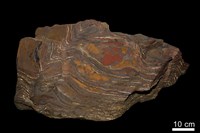 藏品(層狀鐵礦)的圖片