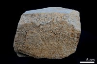 藏品(石英砂岩)的圖片