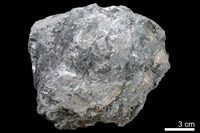 藏品(泥岩)的圖片