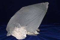 藏品(透石膏)的圖片