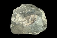 藏品(玄武岩)的圖片