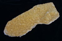 藏品(透石膏)的圖片