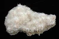 藏品(透石膏)的圖片