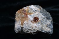 藏品(黃玉)的圖片