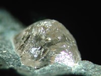 藏品(鑽石)的圖片