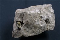 藏品(石英)的圖片