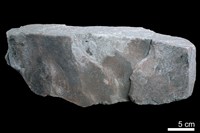 藏品(砂岩)的圖片