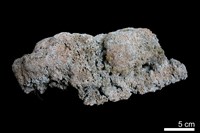 藏品(石灰華)的圖片