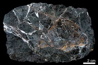 藏品(燧石)的圖片