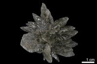 藏品(石膏)的圖片