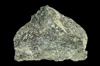 藏品(玻璃質玄武岩)的圖片