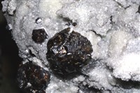 藏品(閃鋅礦)的圖片