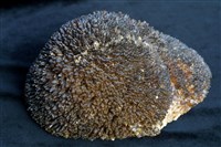 藏品(方解石)的圖片