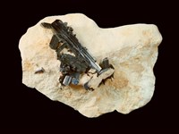 藏品(藍銅礦)的圖片