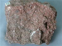 藏品(角閃安山岩)的圖片