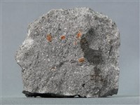 藏品(角閃安山岩)的圖片