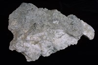 藏品(石膏)的圖片