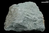 藏品(綠色片岩)的圖片