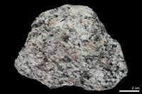 藏品(花崗片麻岩)的圖片