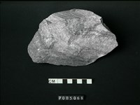 藏品(大理岩)的圖片