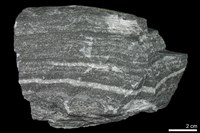 藏品(大理岩)的圖片