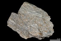 藏品(糜嶺岩)的圖片