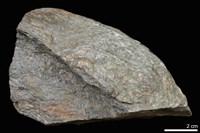 藏品(糜嶺岩)的圖片