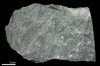 藏品(大理岩)的圖片