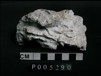 藏品(片岩)的圖片